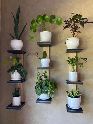 Plant Shelf, 3-tiered shelf, floating shelf, cat proof shelf, plant stand, small shelf, hanging plant shelf, wall planter, pot shelf - image1
